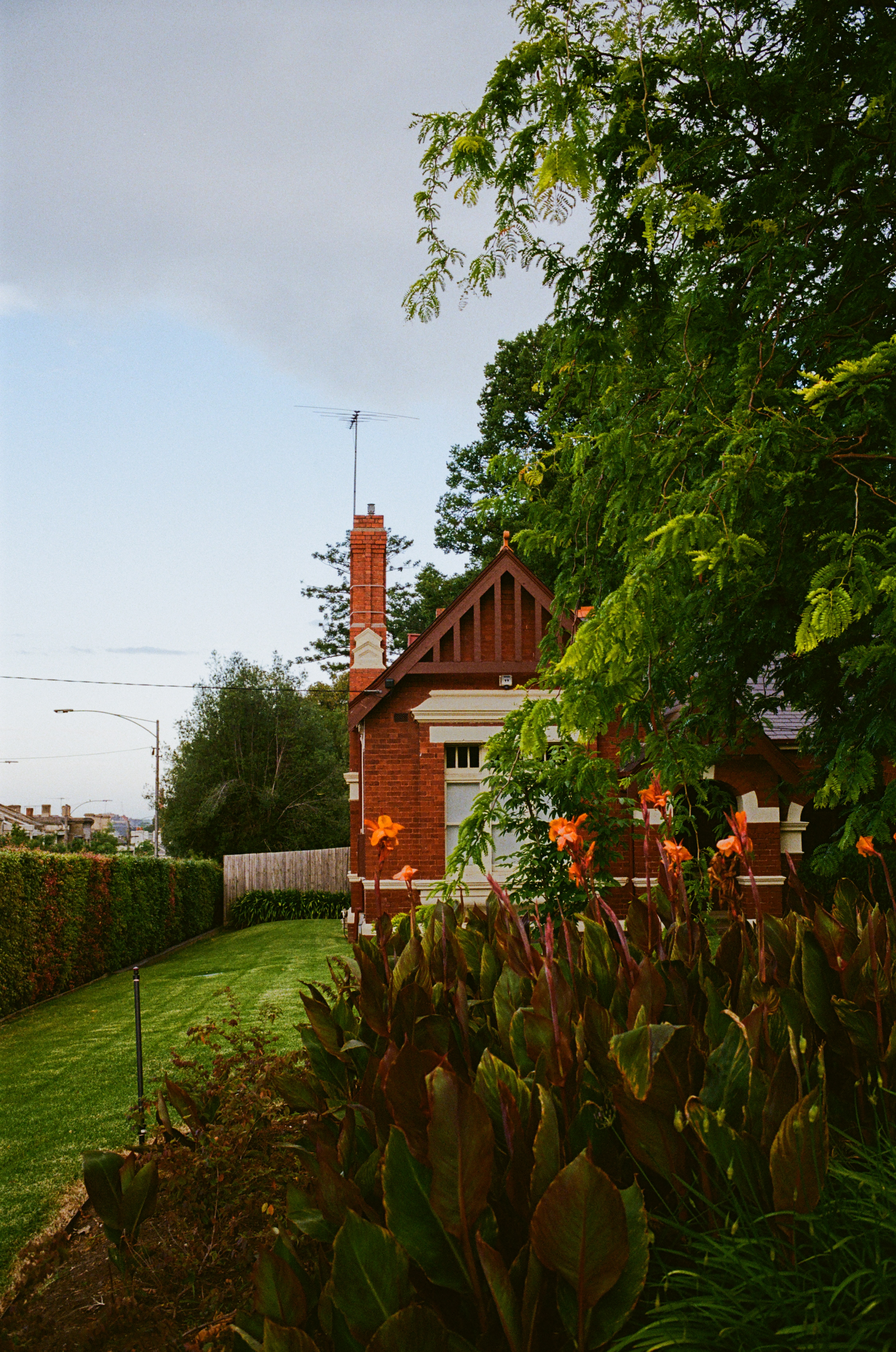 Carlton garden